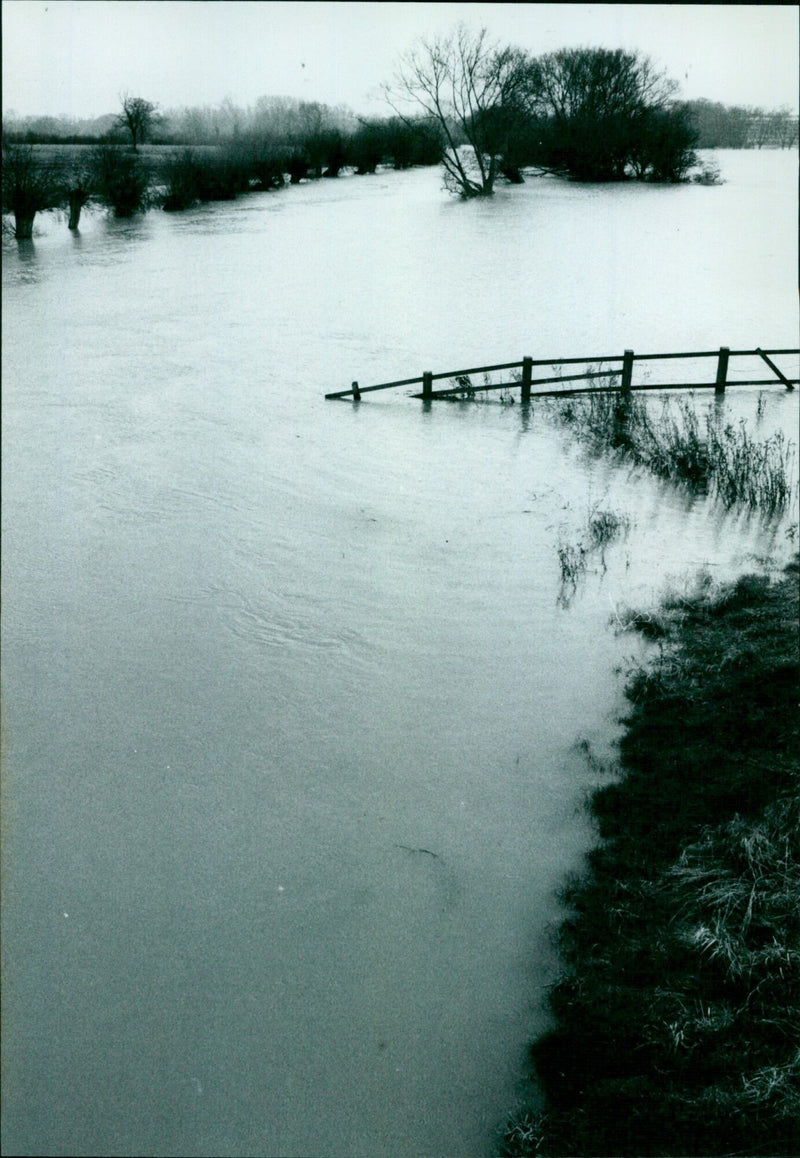 A row of trees and buildings line Marston Terry Link Road in the Flouds area of London, UK. - Vintage Photograph