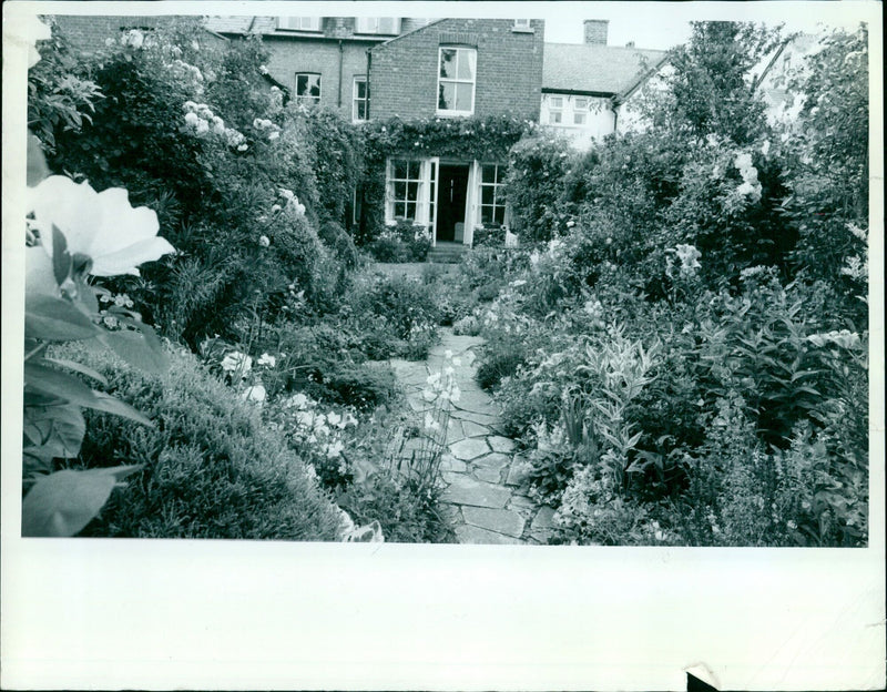 Mrs Anne Dexter opens her garden at 23 Beechcroft Road, Oxford to the public by appointment. - Vintage Photograph