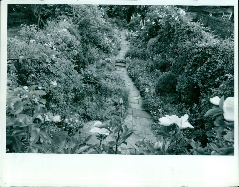 Garden at 23 Beechcroft Road, Oxford, open by appointment - Vintage Photograph