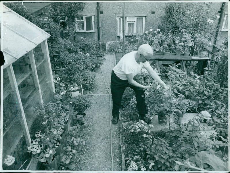 Two boys playing in a garden on a summer day. - Vintage Photograph