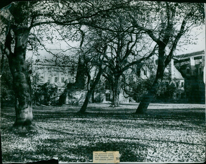 Students enjoy the sunny autumn day at Worcester College, Oxford. - Vintage Photograph