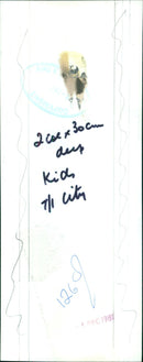 A young girl sits in a park in the city on July 1, 2021. - Vintage Photograph