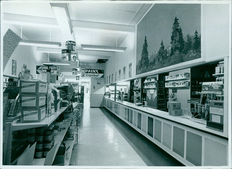 A tradesman examines paint and wallpaper samples in a showroom. - Vintage Photograph