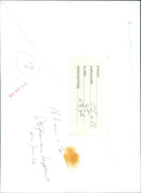 Stephenson's Ellis Building Materials yard being exposed to paper. - Vintage Photograph