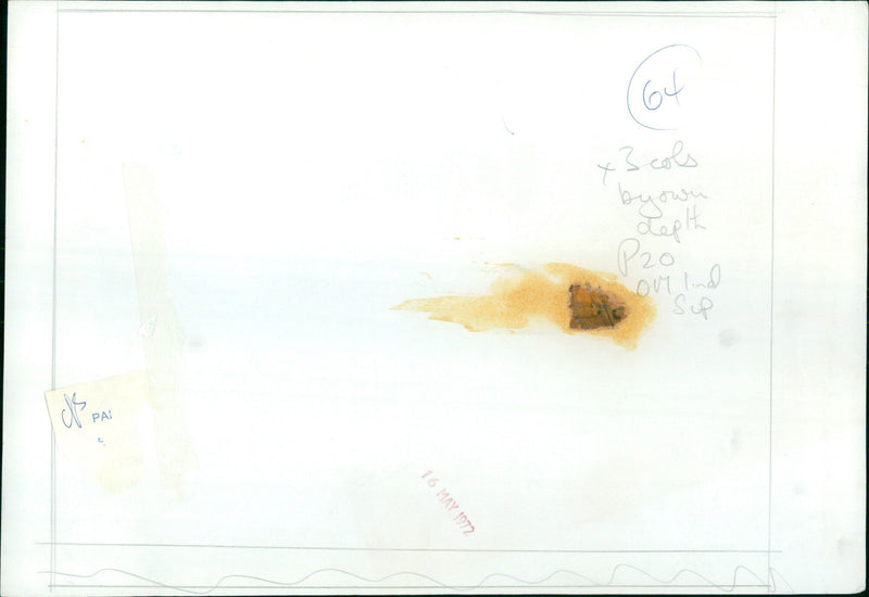 Children play in a park in San Francisco on May 16, 1972. - Vintage Photograph