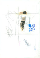 A variety of cakes and pastries on display in a bakery. - Vintage Photograph