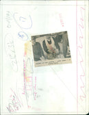 Students attending an evening class in a school in 1970. - Vintage Photograph