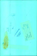 A group of students celebrating the end of their exams. - Vintage Photograph