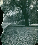 President Lyndon B. Johnson and Soviet Premier Alexei Kosygin sign a joint statement at the White House. - Vintage Photograph
