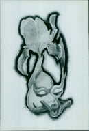 Penelope, a writer and artist with leukemia, is seen painting with renewed vigour at her exhibition on Friday, May 18th, 1984. - Vintage Photograph