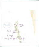 People from different backgrounds come together to celebrate the B.F.C. e cabcume-u- AL BLRG OAS C про коопельк sni dei ni bus X4 39% HAGE bOLK De на усл П сед Homse p Enolno zoow and tietov paq peliu pocent an. - Vintage Photograph