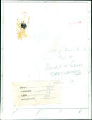 Members of the public gathered on the National Mall in Washington, DC, to celebrate the nation's bicentennial. - Vintage Photograph