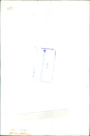 Vice President Spiro Agnew and President Richard Nixon applaud after a speech in January 1972. - Vintage Photograph