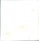 A woman stands in a field of tulips, the sun shining in the background. - Vintage Photograph