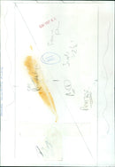 Mary SCIENTIFIC FILMS filming a reverse shot on a location set. - Vintage Photograph