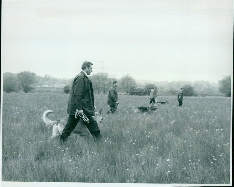 Dogs enjoy a leisurely walk along the Iffley Lock in Oxford today. - Vintage Photograph