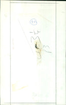 A crowd gathers to watch a parade in an unknown location. - Vintage Photograph