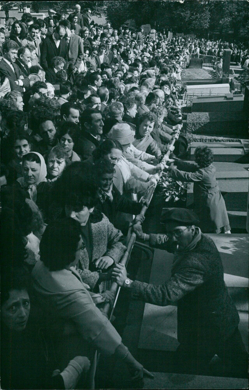 FATES WWV1 Powenden 10 - Vintage Photograph