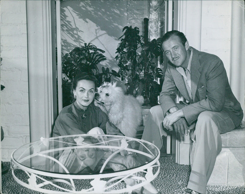 Mr. and Mrs David Niven with their dog in the Riviera estate - Vintage Photograph