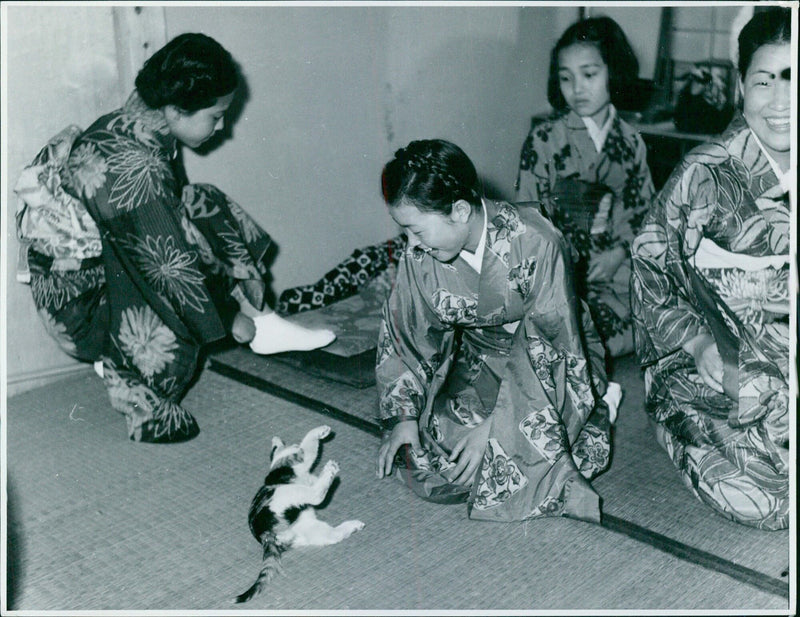 Geishas having fun with a cat - Vintage Photograph