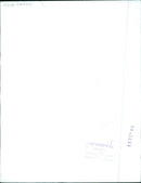 Indira Gandhi - Vintage Photograph