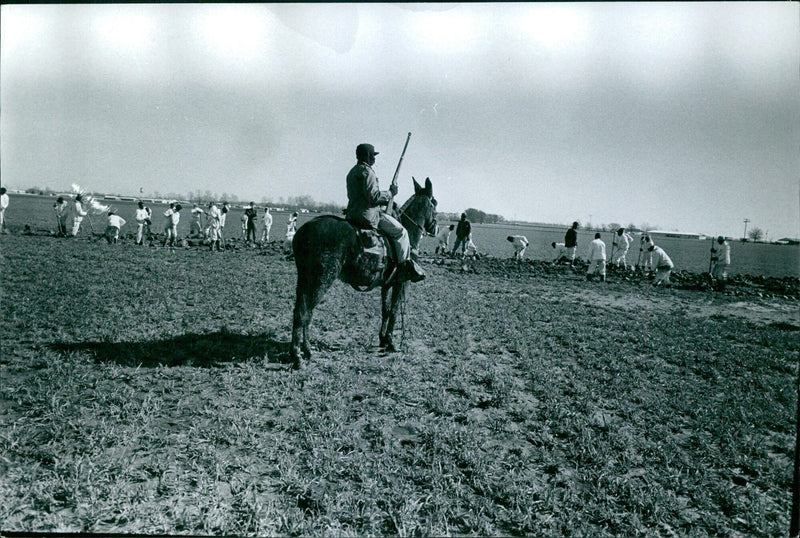 Arkaus Prison - Vintage Photograph