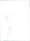 Unveiling of New Electric Car Model - Vintage Photograph