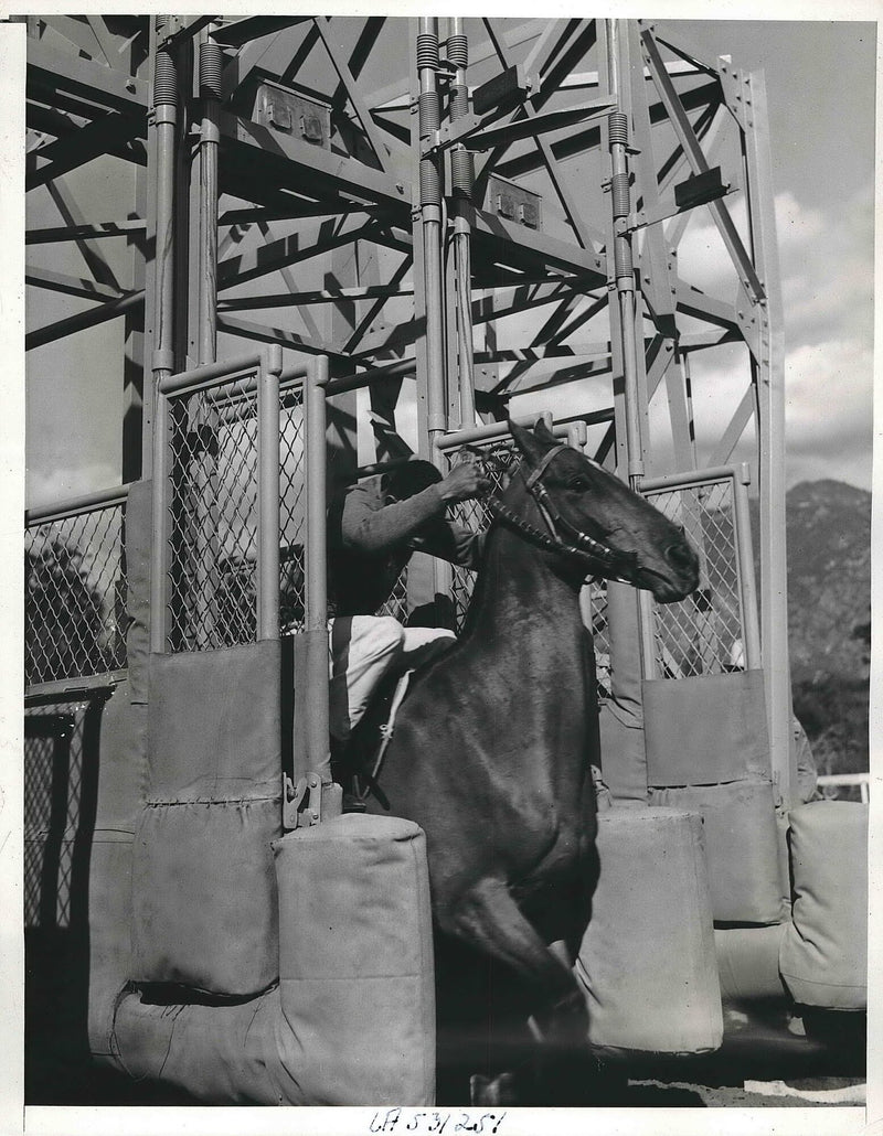 Electrical starting gate tested at Santa Anita - Vintage Photograph