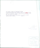 The Naked Lovers of Sherwood Forest - Vintage Photograph