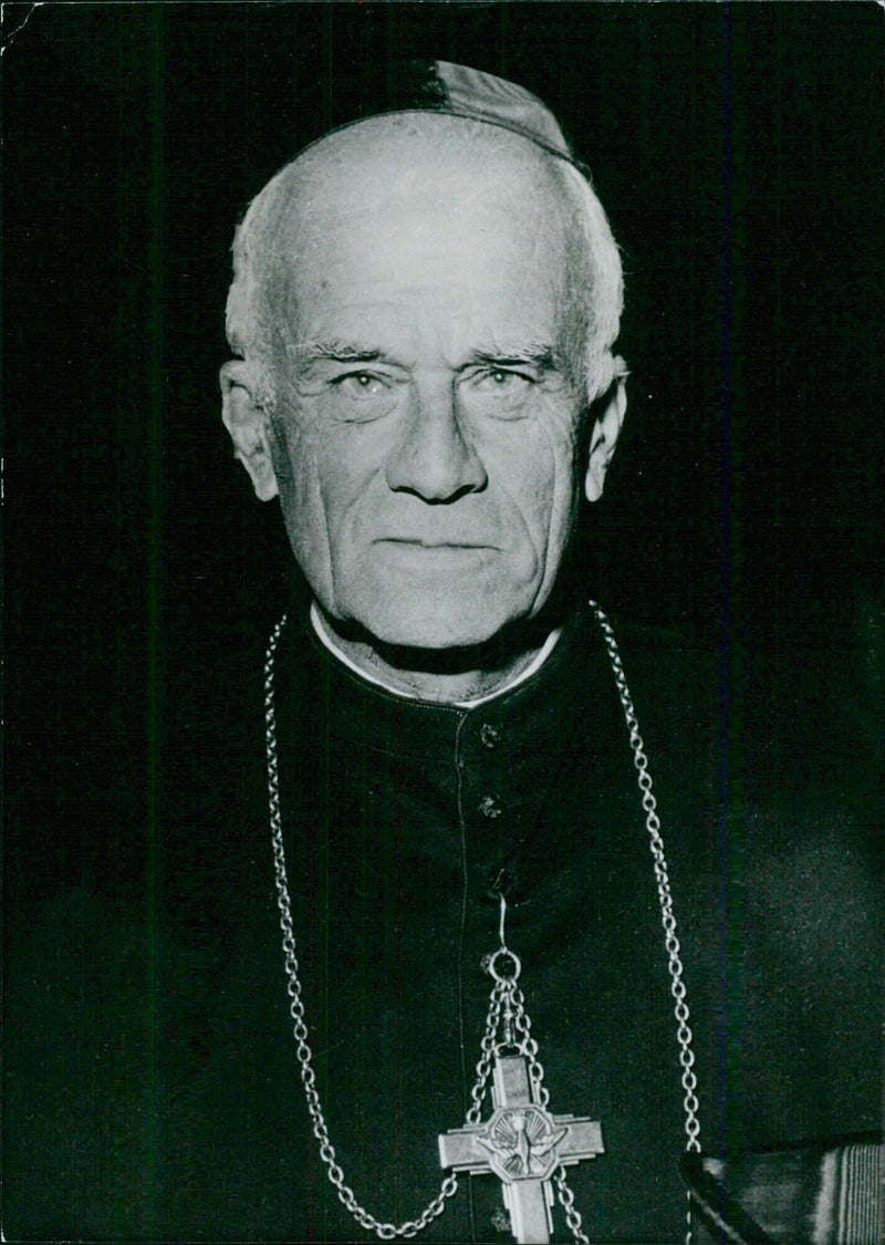 Cardinal Joseph Marie Eugène Martin - Vintage Photograph