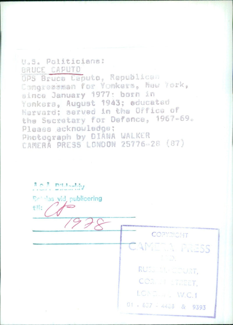 BRUCE CAPUTO OPS - Vintage Photograph