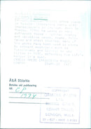 Alexander Pushkin, Eminent Russian Writer - Vintage Photograph