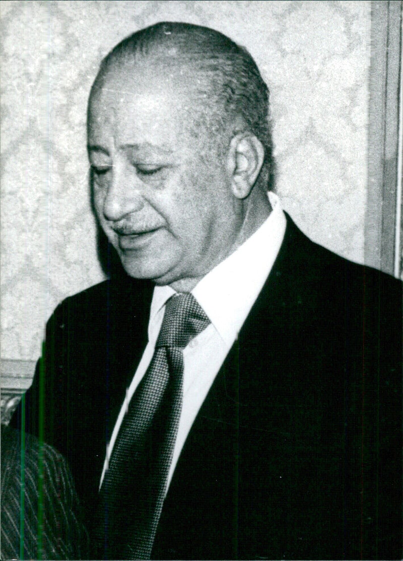 Fikry Makram Ebeid, Egypt's Vice-Premier for Parliamentary Affairs - Vintage Photograph