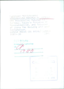 Egyptian Politicians - Vintage Photograph