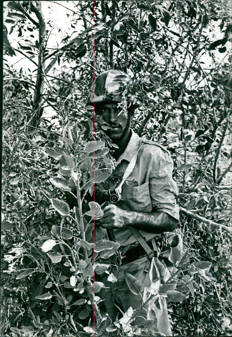 Member of the Palestinian Liberation Army on patrol near Israeli border with Egypt in Sinai desert - Vintage Photograph