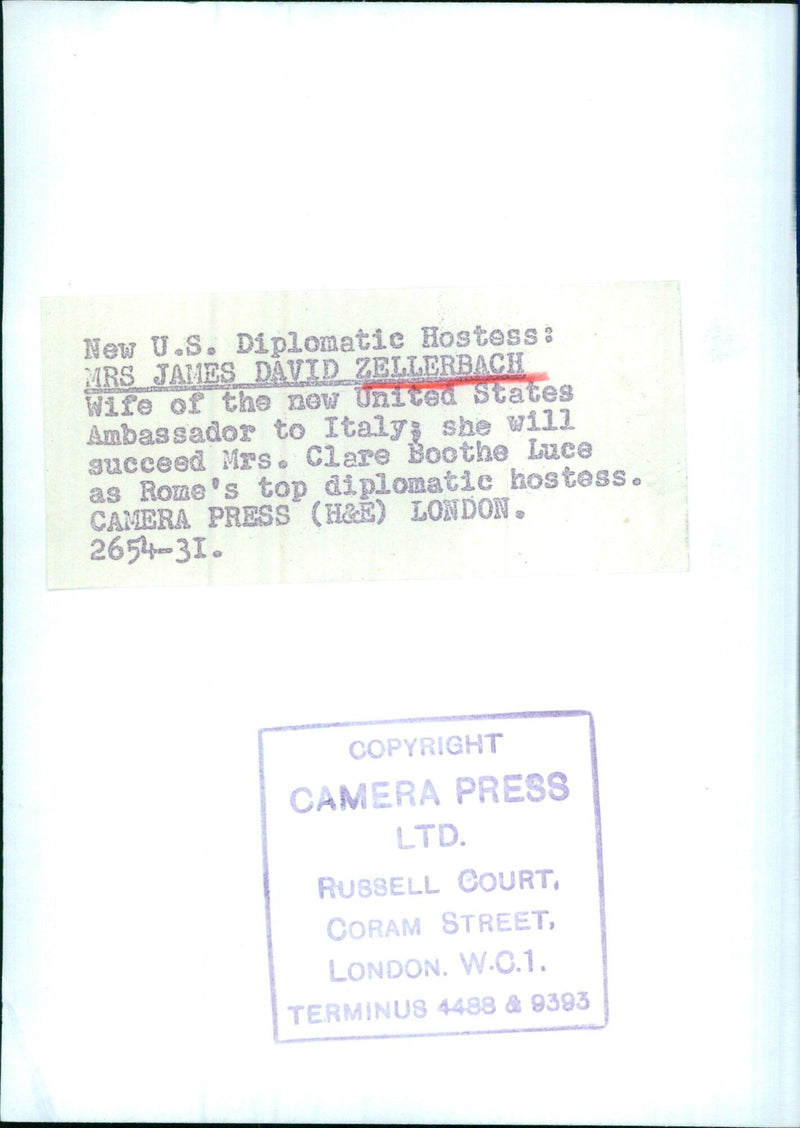 New U.S. Diplomatic Hostess - Vintage Photograph