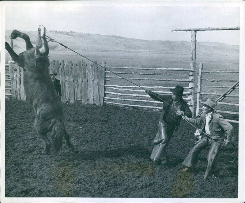 Cowboy herding horses in Klustan - Vintage Photograph