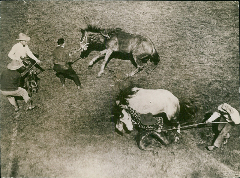 B17 training to saddle a Mustang 9. 3. Cavleays Cowboy Test in the Wild West. - Vintage Photograph