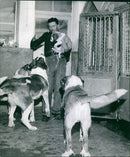 A man playing with his pet dogs.
1959

Monk in the monastery of Saint Bernard - Vintage Photograph