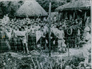 Group of surrendered Japanese soldiers. - Vintage Photograph