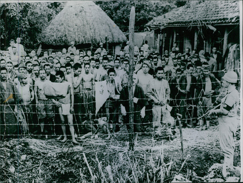 Group of surrendered Japanese soldiers. - Vintage Photograph