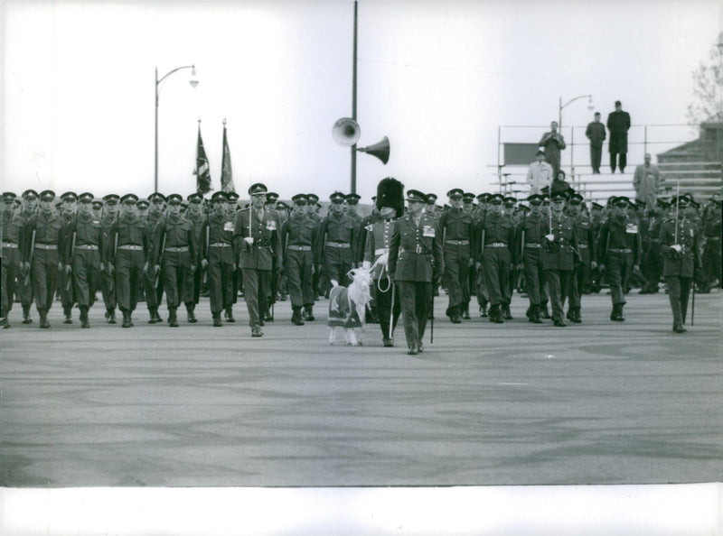 Military people welcoming Prince Philip and Elizabeth II's arrival. - Vintage Photograph