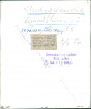 Military training. Regiment Day. Uppsala. Sweden. 1956-09-03 - Vintage Photograph