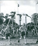 Military training. Regiment Day. Uppsala. Sweden. 1956-09-03 - Vintage Photograph