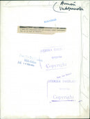 Military guards standing and playing drum. - Vintage Photograph