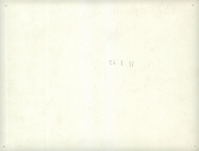 Fieldmanouver - Vintage Photograph