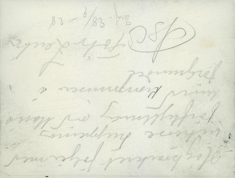 Field maneuvers 1926-1928 - Vintage Photograph