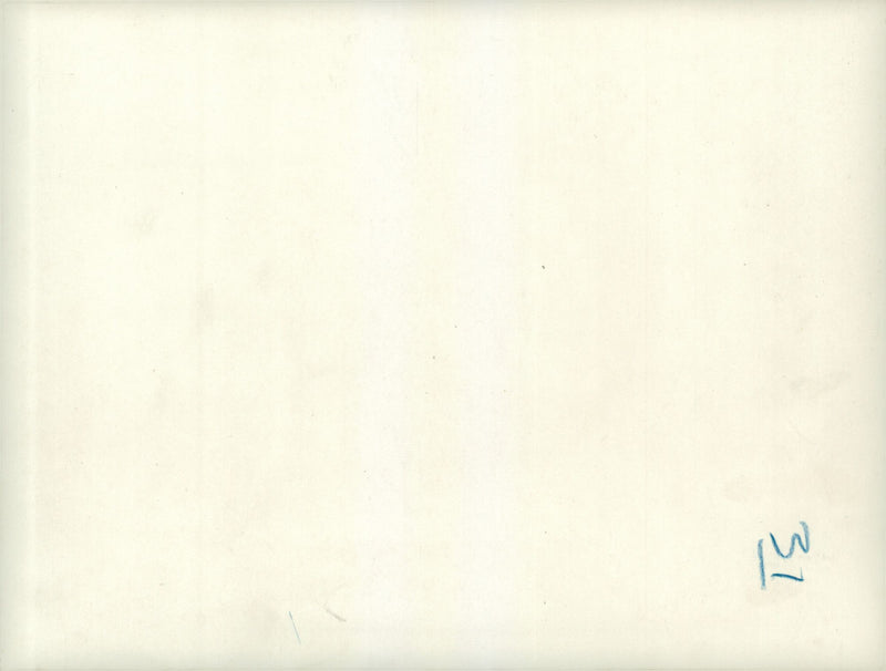 Field maneuver - Vintage Photograph