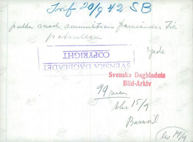 Swedish Military Army Dogs - Vintage Photograph