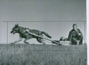 Swedish Military Army Dogs - Vintage Photograph